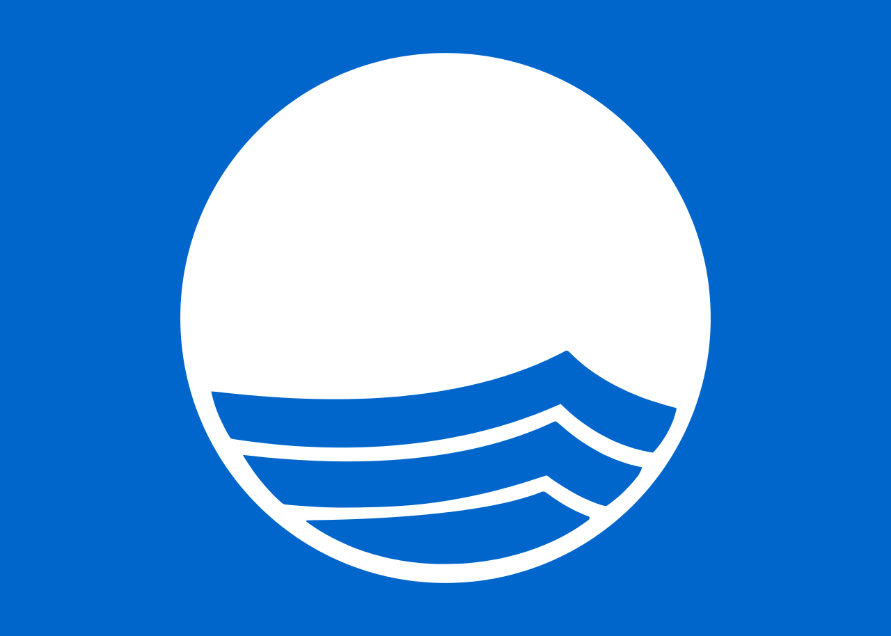 Blue_Flag_Logo.svg.png