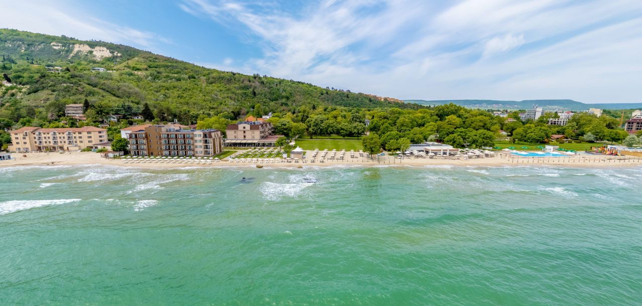 effect grand victoria special offer