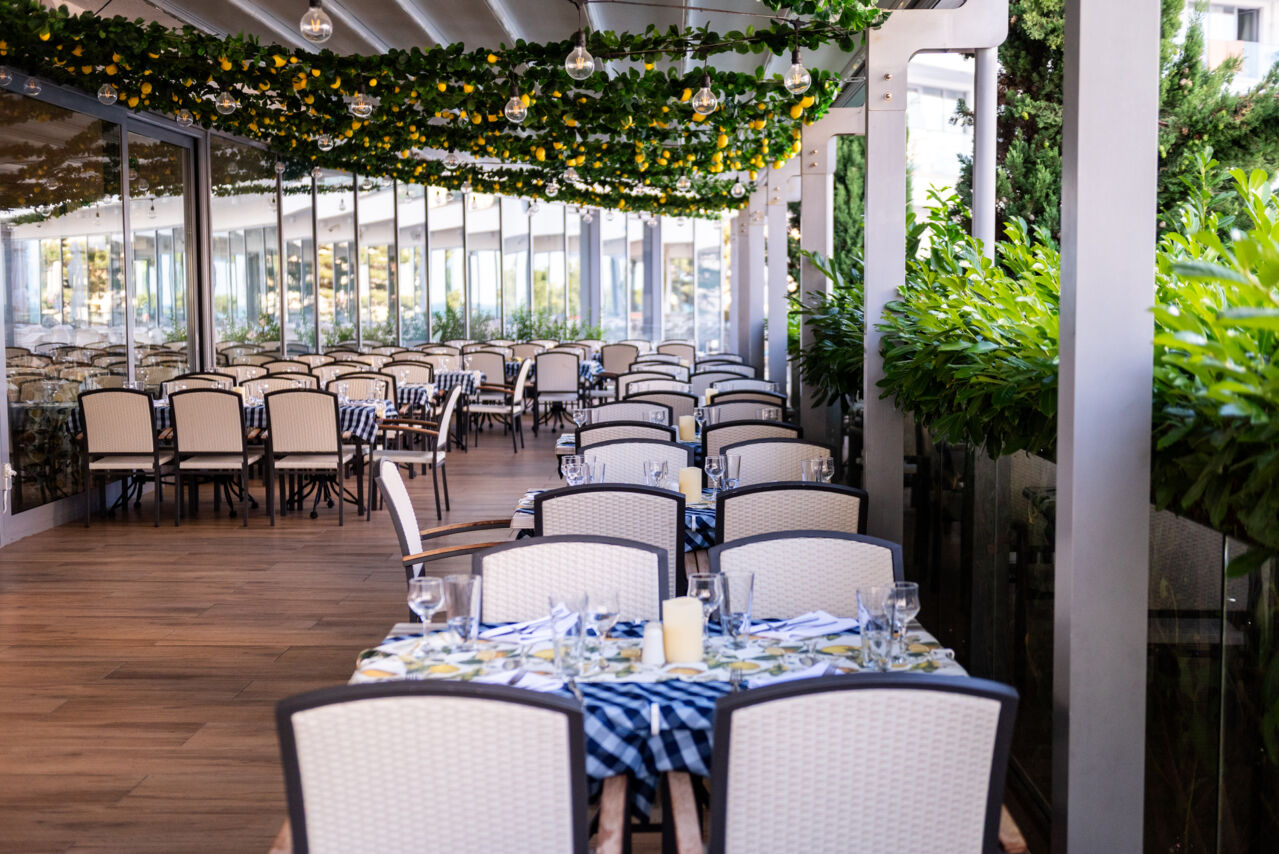 DSC_2048 (1) (1).jpg